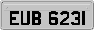 EUB6231