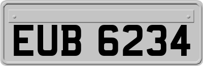 EUB6234