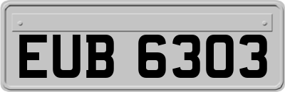 EUB6303