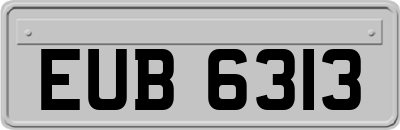 EUB6313