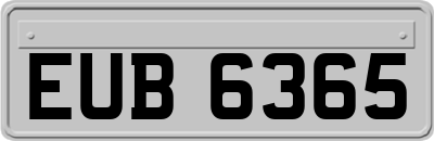 EUB6365