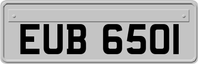 EUB6501