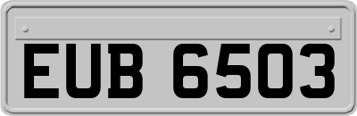 EUB6503