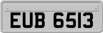 EUB6513