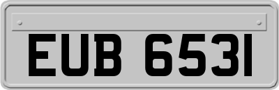 EUB6531