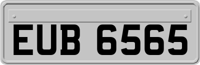 EUB6565