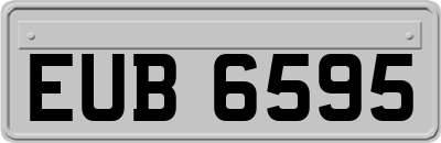 EUB6595