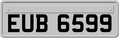 EUB6599