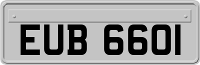 EUB6601