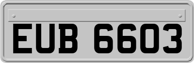 EUB6603