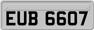 EUB6607