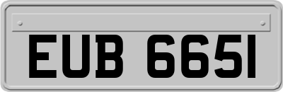 EUB6651