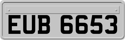 EUB6653