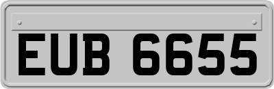 EUB6655