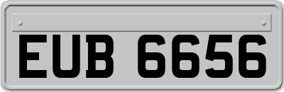 EUB6656