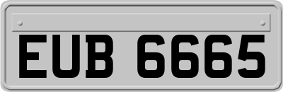 EUB6665