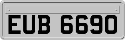 EUB6690