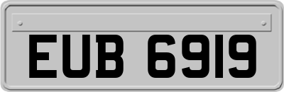 EUB6919