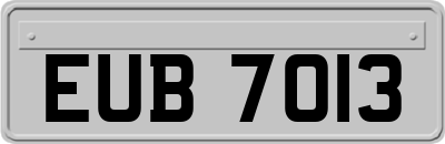 EUB7013