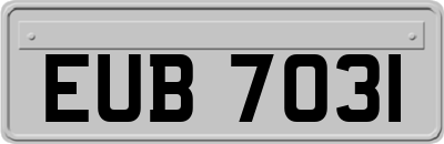 EUB7031