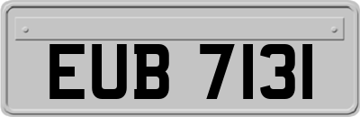 EUB7131