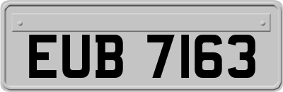 EUB7163