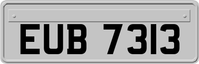 EUB7313