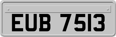 EUB7513