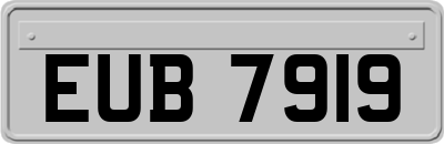 EUB7919