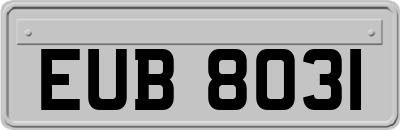 EUB8031