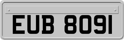 EUB8091