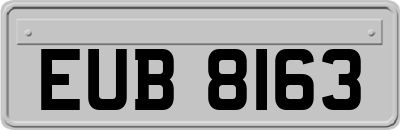 EUB8163