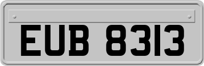 EUB8313