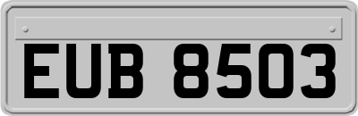 EUB8503