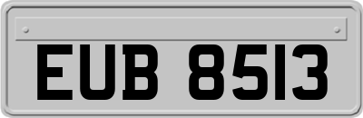 EUB8513