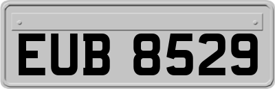 EUB8529