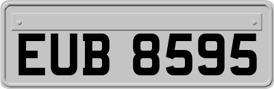 EUB8595