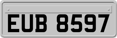 EUB8597
