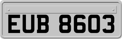 EUB8603