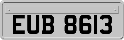 EUB8613