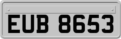 EUB8653