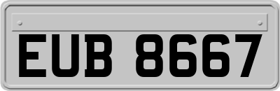 EUB8667