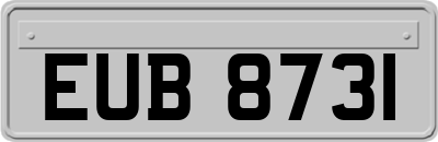 EUB8731