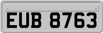 EUB8763