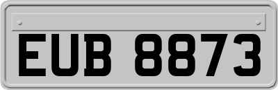 EUB8873