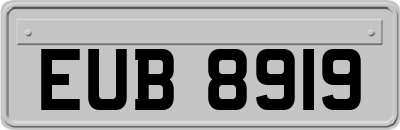 EUB8919