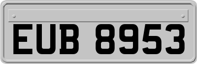 EUB8953