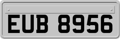 EUB8956
