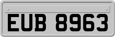 EUB8963