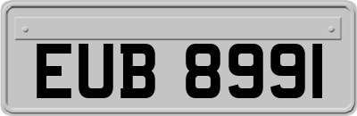 EUB8991